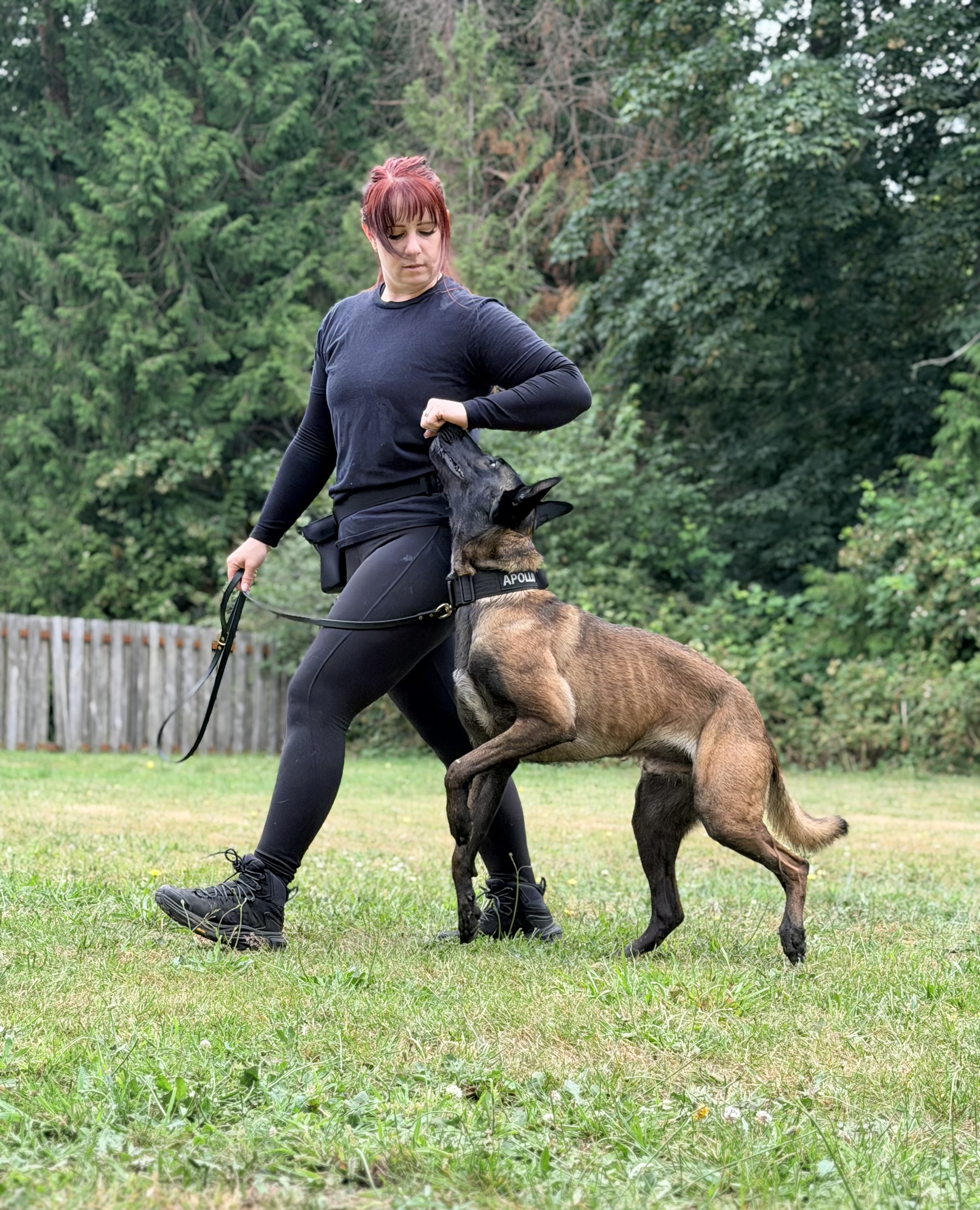 Kylee working with a dog