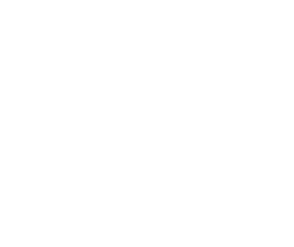 Apollo K9 Academy