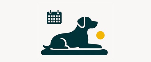Structured boarding dog with calendar illustration